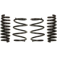 Fahrwerksatz, Federn EIBACH Pro-Kit E10-20-031-08-22 Fahrwerksatz, Federn EIBACH Pro-Kit E10-20-031-08-22 von Eibach