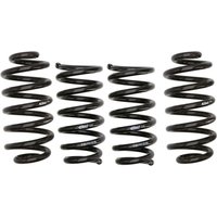 Fahrwerksatz, Federn EIBACH Pro-Kit E10-20-032-02-22 Fahrwerksatz, Federn EIBACH Pro-Kit E10-20-032-02-22 von Eibach