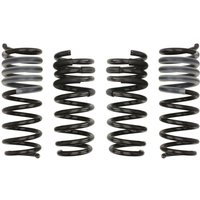 Fahrwerksatz, Federn EIBACH Pro-Kit E10-20-041-01-22 Fahrwerksatz, Federn EIBACH Pro-Kit E10-20-041-01-22 von Eibach