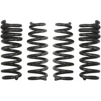 Fahrwerksatz, Federn EIBACH Pro-Kit E10-25-030-01-22 Fahrwerksatz, Federn EIBACH Pro-Kit E10-25-030-01-22 von Eibach