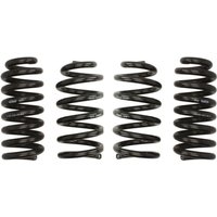 Fahrwerksatz, Federn EIBACH Pro-Kit E10-25-036-05-22 Fahrwerksatz, Federn EIBACH Pro-Kit E10-25-036-05-22 von Eibach