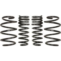 Fahrwerksatz, Federn EIBACH Pro-Kit E10-42-038-01-22 Fahrwerksatz, Federn EIBACH Pro-Kit E10-42-038-01-22 von Eibach