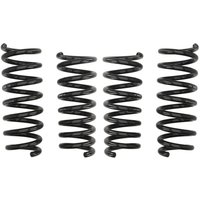 Fahrwerksatz, Federn EIBACH Pro-Kit E10-45-004-01-22 Fahrwerksatz, Federn EIBACH Pro-Kit E10-45-004-01-22 von Eibach