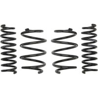 Fahrwerksatz, Federn EIBACH Pro-Kit E10-46-025-02-22 Fahrwerksatz, Federn EIBACH Pro-Kit E10-46-025-02-22 von Eibach
