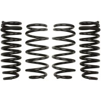 Fahrwerksatz, Federn EIBACH Pro-Kit E10-55-004-09-22 von Eibach