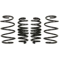 Fahrwerksatz, Federn EIBACH Pro-Kit E10-63-028-02-22 Fahrwerksatz, Federn EIBACH Pro-Kit E10-63-028-02-22 von Eibach