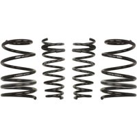 Fahrwerksatz, Federn EIBACH Pro-Kit E10-72-013-01-22 Fahrwerksatz, Federn EIBACH Pro-Kit E10-72-013-01-22 von Eibach