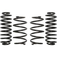 Fahrwerksatz, Federn EIBACH Pro-Kit E10-79-009-01-22 Fahrwerksatz, Federn EIBACH Pro-Kit E10-79-009-01-22 von Eibach