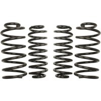 Fahrwerksatz, Federn EIBACH Pro-Kit E10-85-005-01-22 von Eibach