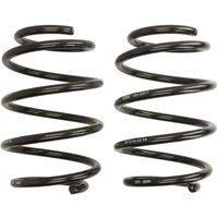 Fahrwerksatz, Federn EIBACH Pro-Kit E2065-120 von Eibach