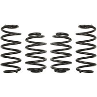 Fahrwerksfeder EIBACH Pro-Kit E10-85-002-05-22 von Eibach