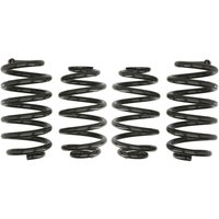 Federn EIBACH Pro Kit E10-15-003-02-22 Federn EIBACH Pro Kit E10-15-003-02-22 von Eibach