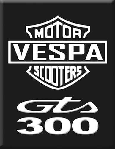 Vespa Emblem Piaggio Logo Kaskade VE -154 von Embleme