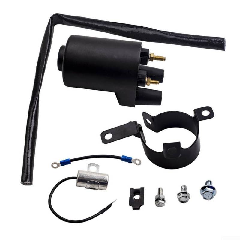 P218G Motor Zündspule Ersatzteil 5410522 1660820 1660772 Verbesserte Effizienz von Emiif