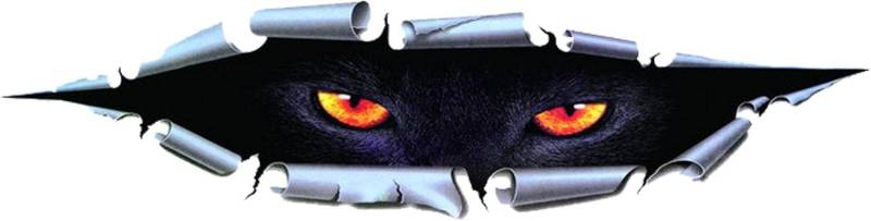 Enyolidimk 3D-Simulations-Augen Wasserdichte Autoaufkleber, Personalisierte Vinyl-Aufkleber, Schwarz, Tier-Augen, Katze, Sticker, Aufkleber von Enyolidimk