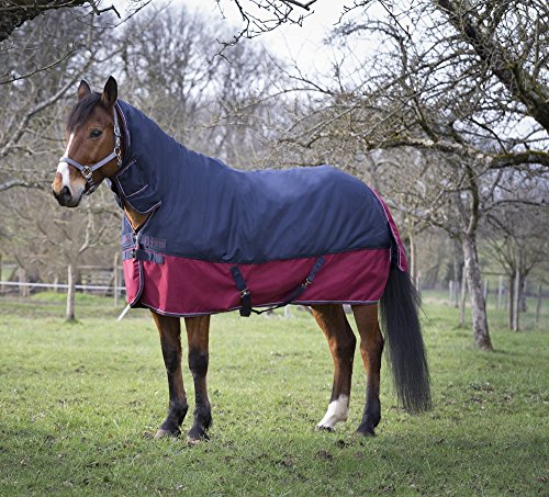 EQUI-THEME Tyrex 1200D Combo Hals Wahlbeteiligung rug- Farbe marine/burgund – Füllen 350 g EQUI-THEME Tyrex 1200D Combo Hals Wahlbeteiligung rug- Farbe marine/burgund – Füllen 350 g von Equi-Theme