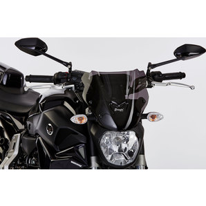 Ermax Naked Bike Scheibe inklusive Haltesatz, mit ABE von Ermax