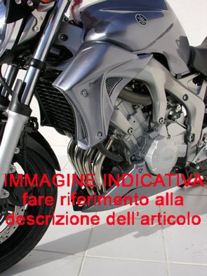 Kühlerabdeckung Ermax für FZ6 S2 2004 2010 grün unlackiert von Ermax