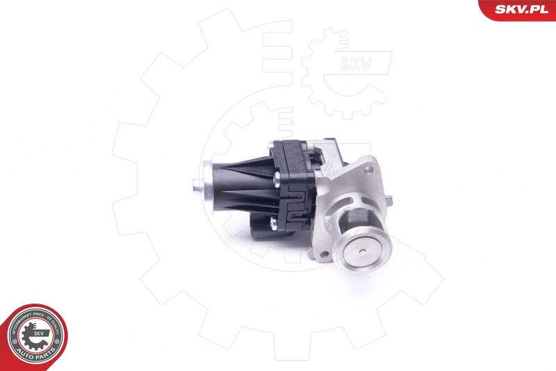 AGR-Ventil Esen SKV 14SKV159 von Esen SKV