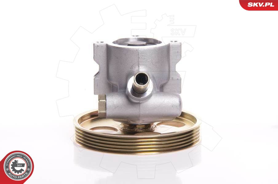 Hydraulikpumpe, Lenkung Esen SKV 10SKV119 Hydraulikpumpe, Lenkung Esen SKV 10SKV119 von Esen SKV