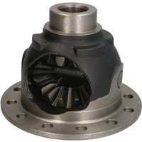 Achskörper Reparatursatz EURORICAMBI 12960MASIERO Achskörper Reparatursatz EURORICAMBI 12960MASIERO von Euroricambi