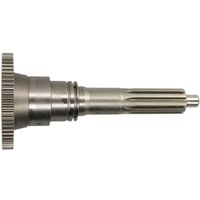 Antriebszahnrad EURORICAMBI 60532682 Antriebszahnrad EURORICAMBI 60532682 von Euroricambi