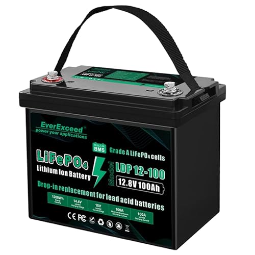 EverExceed 12V 100AH LiFePO4 Batterie, LiFePO4 Batterie mit Grade A LiFePO4 Zelle, Niedertemperatur-Abschaltschutz, 12V Lithiumbatterie eingebaut 100A BMS, bis zu 15000 tiefe Zyklen für RV, Marine von EverExceed
