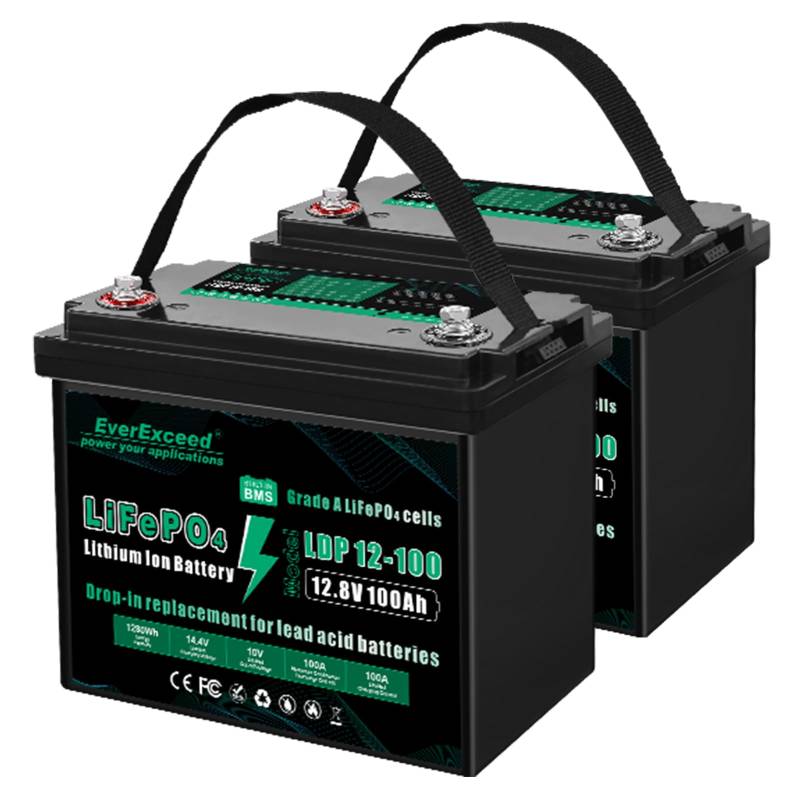 EverExceed 12V 100AH LiFePO4 Batterie mit Grade A LiFePO4 Zelle, Niedertemperatur-Abschaltschutz, 12V Lithiumbatterie eingebaut 100A BMS, bis zu 15000 tiefe Zyklen für RV, Marine, 2 Pack von EverExceed