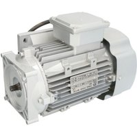 Elektromotor 400V 3-phasig, EVERT EVERTZL320204017 von Evert