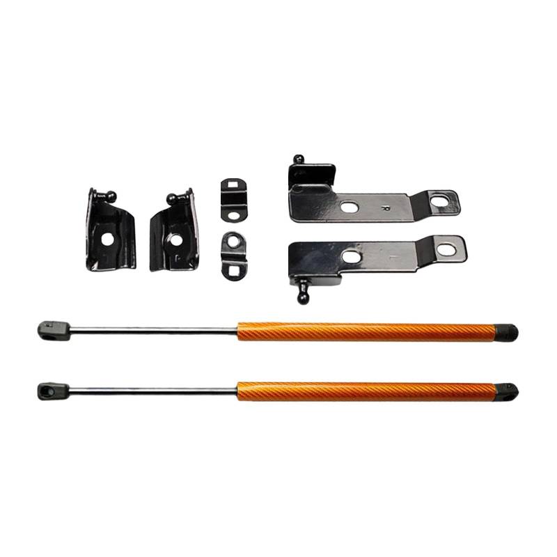 F Fityle 2-teilige Motorhaubenstrebe, Ersatz für Hubstützen D40, CarbonFiber Gelb von F Fityle