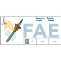 Sensor, Kühlmittelstand FAE 98010 von FAE