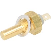 Sensor, Kühlmitteltemperatur FAE 31290 von FAE