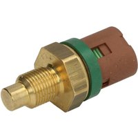 Sensor, Kühlmitteltemperatur FAE 34230 von FAE