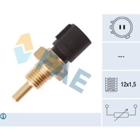 Sensor, Öltemperatur FAE FAE33451 von FAE
