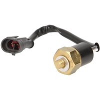 Temperaturschalter, Kühlmittelwarnlampe FAE 35860 von FAE