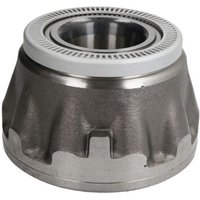 Radlager FAG 805532.01.H195 Radlager FAG 805532.01.H195 von FAG