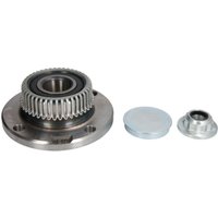 Radlagersatz FAG 713 6103 20 von FAG