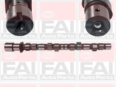 Fai Autoparts Nockenwelle [Hersteller-Nr. C175] für BMW von FAI AutoParts