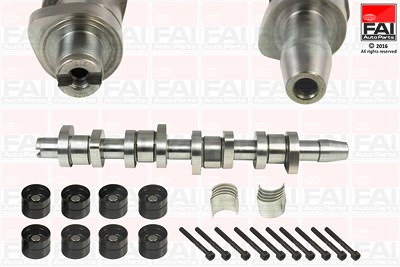 Fai Autoparts Nockenwellensatz [Hersteller-Nr. CSK312] für Audi, Seat, Skoda, VW von FAI AutoParts