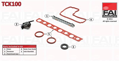 Fai Autoparts Steuerkettensatz [Hersteller-Nr. TCK100] für Citroën, Ds, Fiat, Ford, Ford Usa, Jaguar, Lancia, Land Rover, Mitsubishi, Opel, Peugeot, V von FAI AutoParts