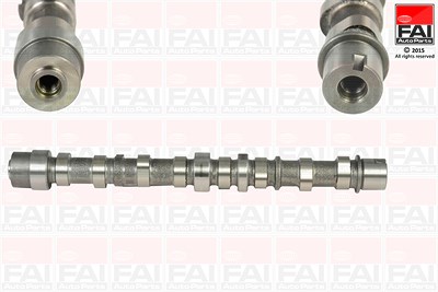 Fai Autoparts Nockenwelle [Hersteller-Nr. C255] für Alfa Romeo, Citroën, Fiat, Lancia, Opel, Peugeot, Subaru, Suzuki, Tata, Vauxhall von FAI AutoParts