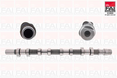 Fai Autoparts Nockenwelle [Hersteller-Nr. C256] für Nissan, Opel, Renault von FAI AutoParts