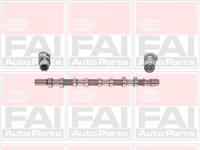 Fai Autoparts Nockenwelle [Hersteller-Nr. C256] für Nissan, Opel, Renault von FAI AutoParts