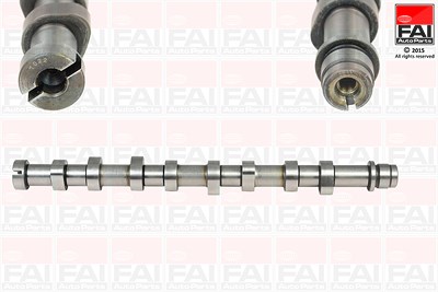 Fai Autoparts Nockenwelle [Hersteller-Nr. C260] für Citroën, Ford, Mazda, Peugeot von FAI AutoParts