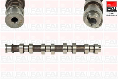 Fai Autoparts Nockenwelle [Hersteller-Nr. C306] für Opel, Suzuki, Vauxhall von FAI AutoParts