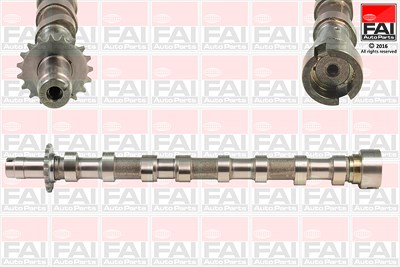 Fai Autoparts Nockenwelle [Hersteller-Nr. C333] für Citroën, Fiat, Ford, Lancia, Peugeot, Volvo von FAI AutoParts