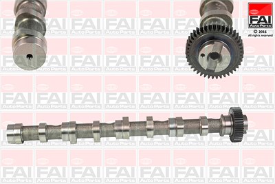 Fai Autoparts Nockenwelle [Hersteller-Nr. C347] für Audi, Seat, Skoda, VW von FAI AutoParts