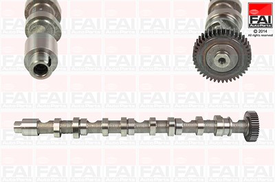 Fai Autoparts Nockenwelle [Hersteller-Nr. C348] für Audi, Seat, Skoda, VW von FAI AutoParts