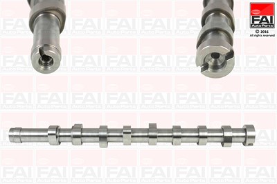 Fai Autoparts Nockenwelle [Hersteller-Nr. C369] für Citroën, Ds, Fiat, Ford, Mazda, Opel, Peugeot, Toyota, Volvo von FAI AutoParts