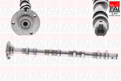 Fai Autoparts Nockenwelle [Hersteller-Nr. C385] für Citroën, Fiat, Ford, Land Rover, Mazda, Peugeot von FAI AutoParts